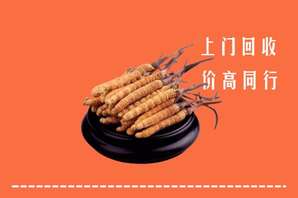 高价求购：迪庆市回收散虫草