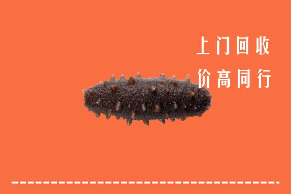 高价求购：迪庆市回收海参