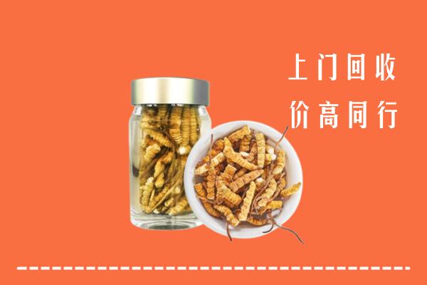 迪庆市回收冬虫夏草